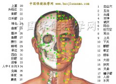 人体头部正面穴位图头经络图人体头部穴位图解脑部穴位