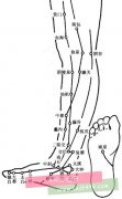 脚部穴位图脚足部的所有穴位图脚底侧面脚侧面脚穴位图脚背上穴位 