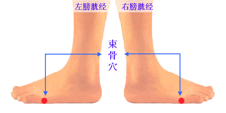 左右脚束骨穴穴位位置图