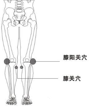 膝关穴的具体位置图