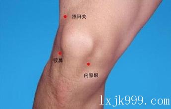 膝阳关穴准确位置图