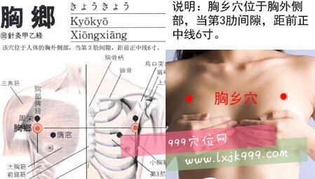 胸乡穴具体位置图
