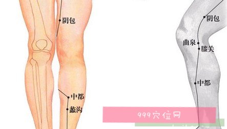 膝关穴位位置图