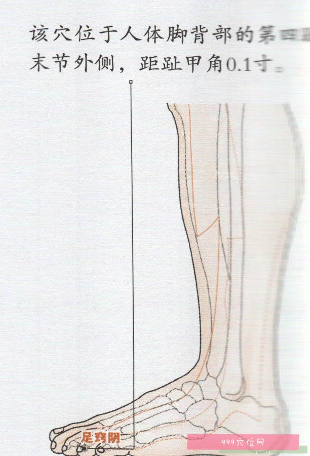 足窍阴穴位位置图